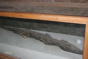 The old showcases with crocodile mummies in the little chapel